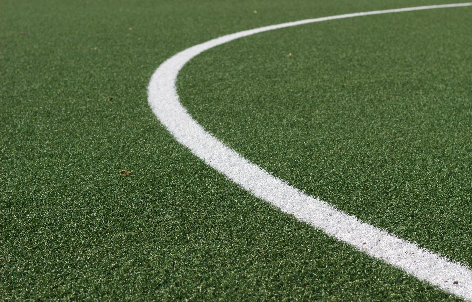 green and white soccer field